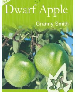 Bareroot Apple Dwarf Granny Smith