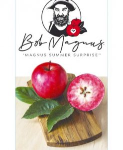 Bareroot Apple Dwarf Magnus Summer Surprise