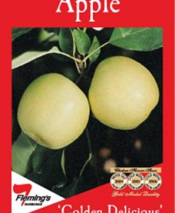 Bareroot Apple Golden Delicious