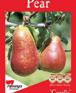 Bareroot Pear Corella