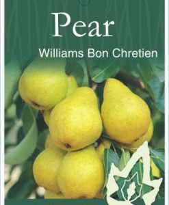 Bareroot Pear Williams