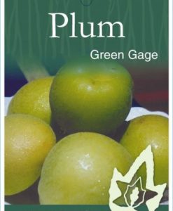 Bareroot Plum Green Gage