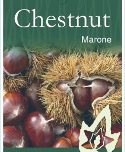 Bareroot Nut Chestnut Marone